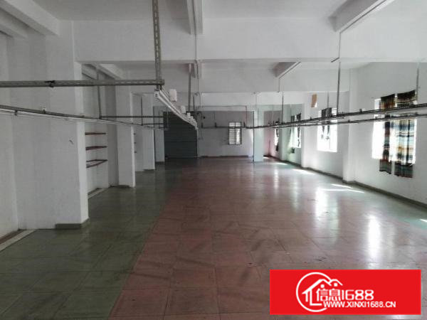 村委独院厂房仓库原房东出租