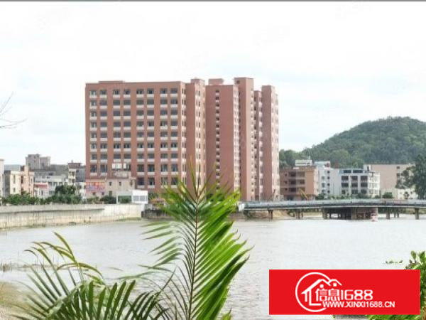 带红本工业园全新标准厂房出租一楼7.5高带牛角可分租工业地