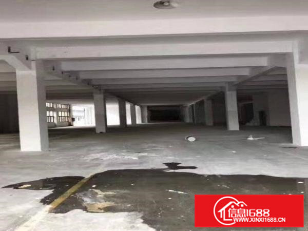 常平袁山贝14140全新标准厂房火热招商中！