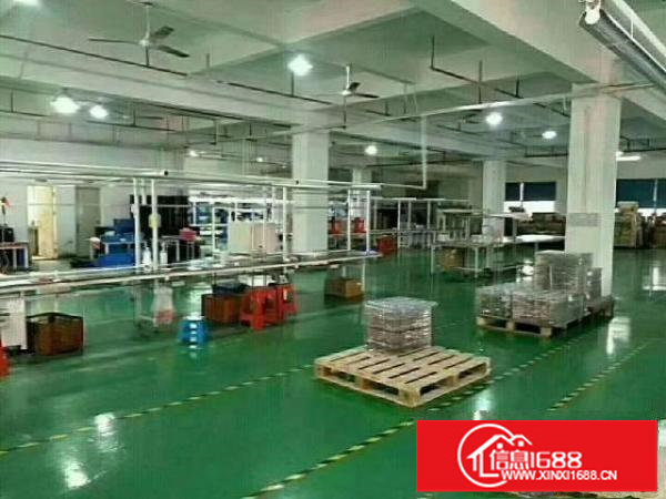 坪山新出4万平米原房东红本独院厂房招租