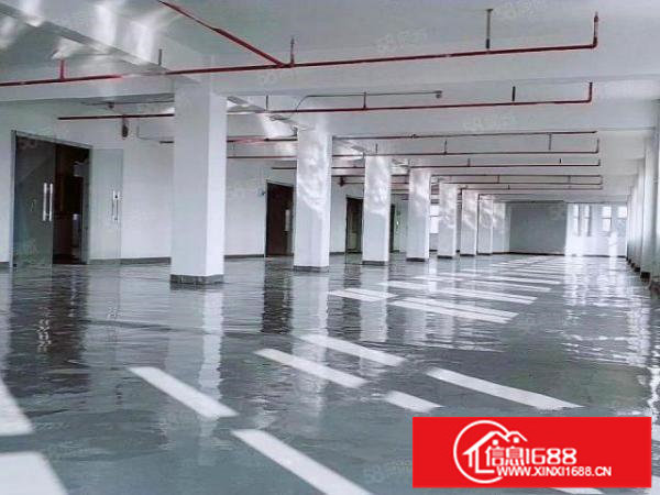 福安松岗|526平带装厂房|格局方正|原房东直租|价格美丽