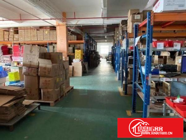 3150方带地坪漆办公室独院高大上厂房