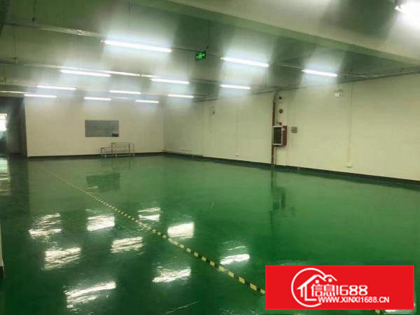 横沥镇三江工业区无尘车间厂房850平方招租，可做口罩