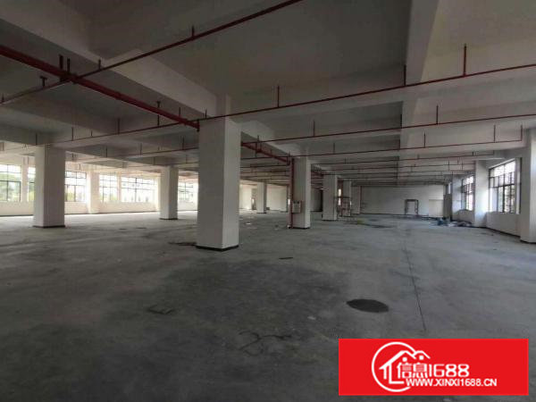 寮步竹园原房东标准独院厂房分租一楼1000平方层高6米.