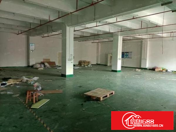 横沥隔坑带装修厂房电商仓库930平出租