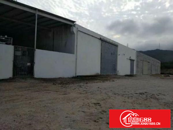 惠阳大亚湾原房东钢构厂房2500平厂房出租可做污染