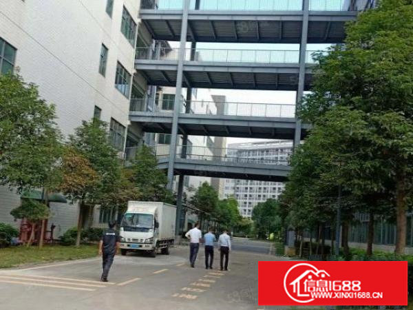 红本独栋厂房19800平形象超好出租实际面积出租可申请补贴