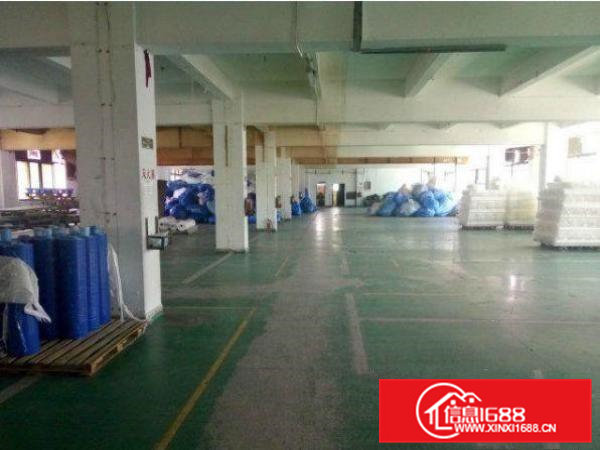 清溪大埔厂房800平米交通便利好招工