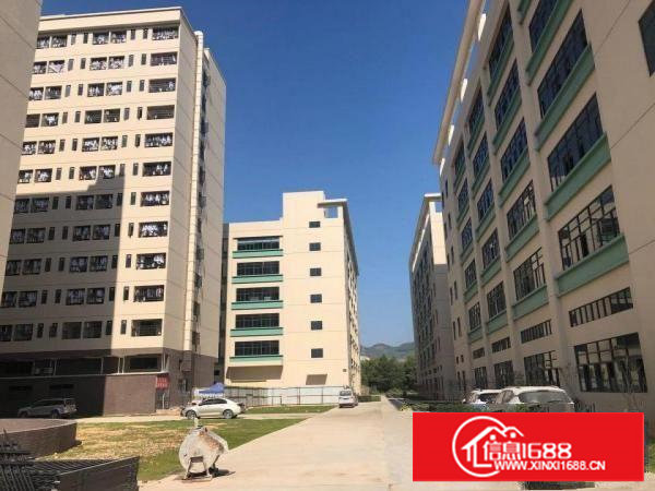 塘厦科苑城一手房东红本工业区5万平厂房出租500平起租合租