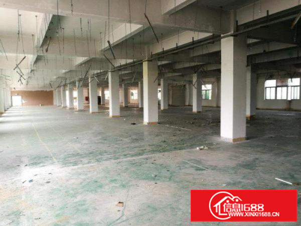 观澜大富工业区硅谷3层独院厂房出租