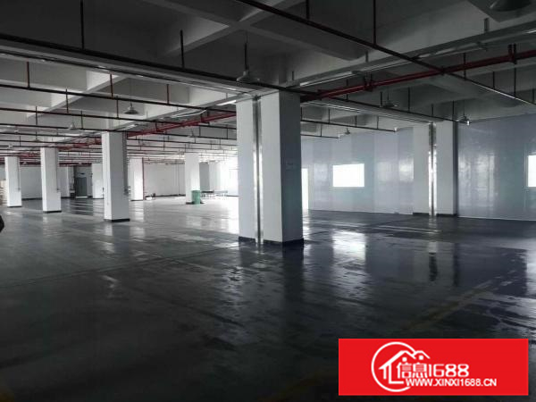 三栋数码园二楼3000平米带现成装修厂房出租