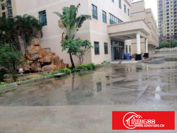 石排李家坊标准厂房一楼700平方分租，带牛角现成装修