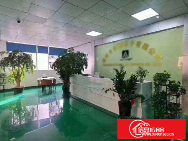 龙岗同乐原房东带装修厂房1600平出租，没有转让费可以分租