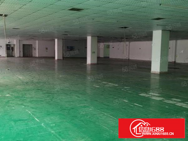 厦岗新出二楼带装修1000平方米厂房出租