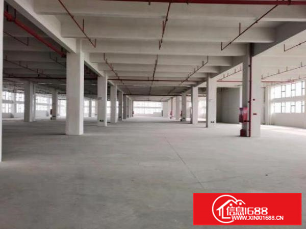 丙二类消防，天然气，蒸气，红本，北滘高新区，一楼高8米