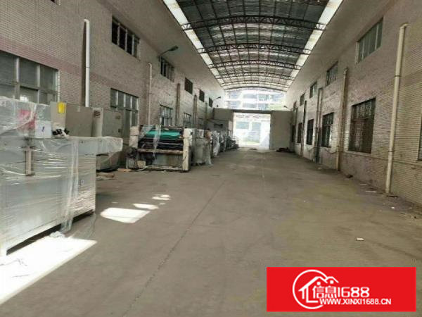 大岭山新出原房东独院厂房3300平滴水8米可挂行车