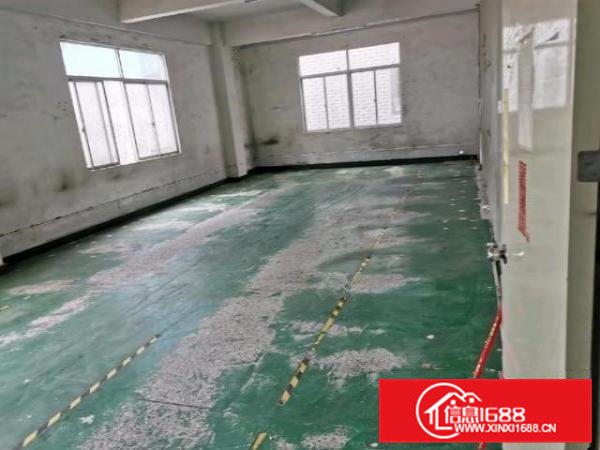 大岭山独栋1400平米厂房