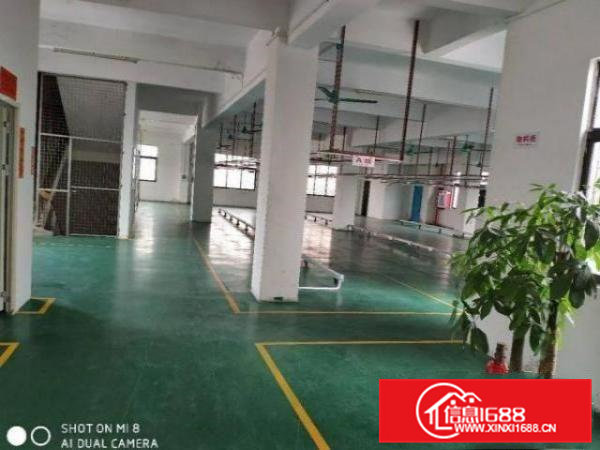 清溪谢坑村一楼厂房300平米起分租