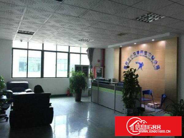 大浪高新科技园600/800/1200平带装修厂房