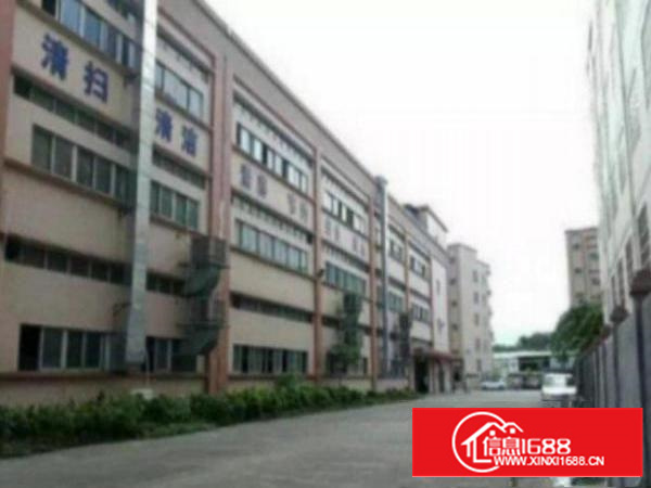 万江107国道边出租楼上二楼3000方有装修的厂房