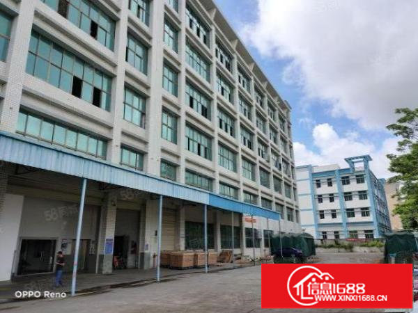 坑梓老坑工业区重工业厂房五楼1200平方招租