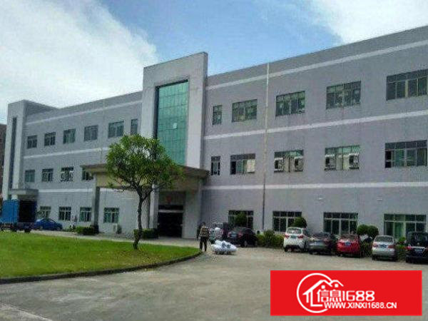 常平白花沥一楼厂房1300平方带办公室装修出租