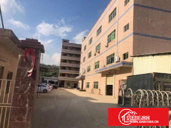 茶山原房东带牛角独院标准厂房，带消防喷淋，现成水电，拎包入住