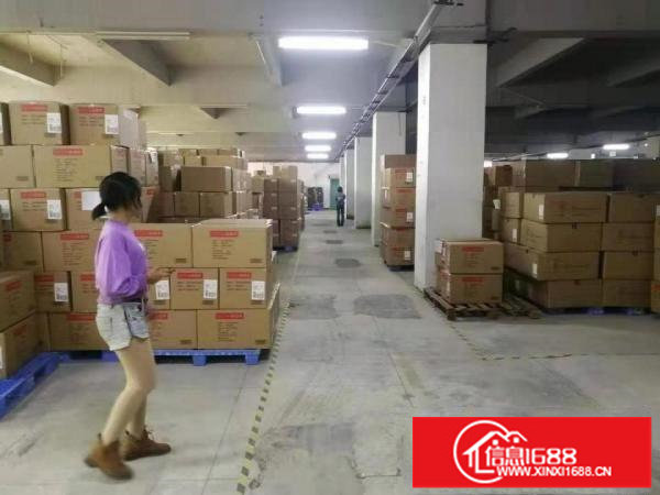 坂田天安云谷附近(原房东)现有1楼2000平厂房招租