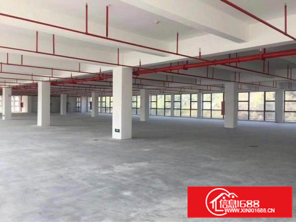 坪山坑梓3000平厂房招租，可分租