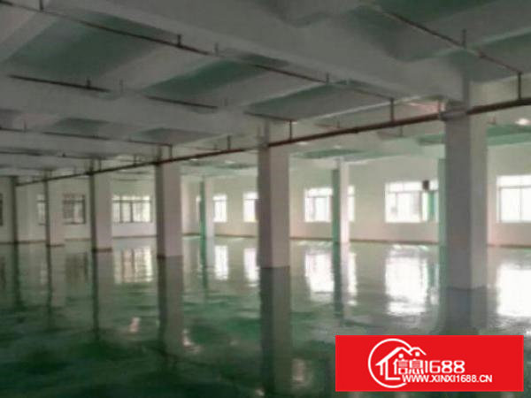 高埗空出独院厂4000平方形象超靓