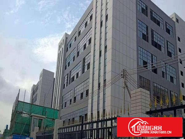 仲恺高新区标准产业园100000平方原房东出租