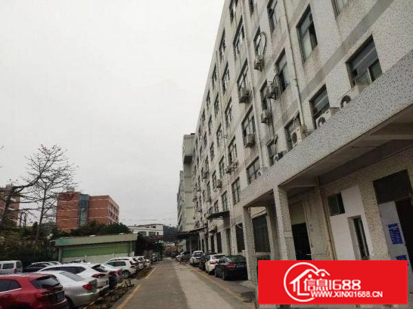 横岗厂房仓库办公底价出租300平方