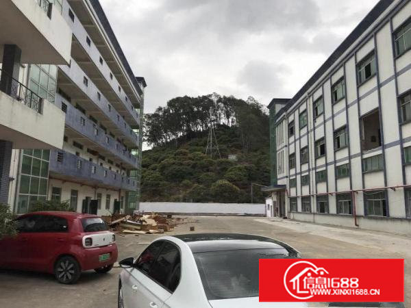 塘厦沙湖独院厂房8480平方米