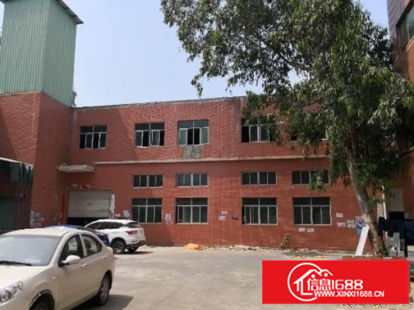 横岗大康工业区新出一楼3000平层高5.2米