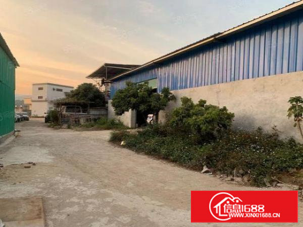 全新！林村本地人小独院厂房出租，实量面积，报价20