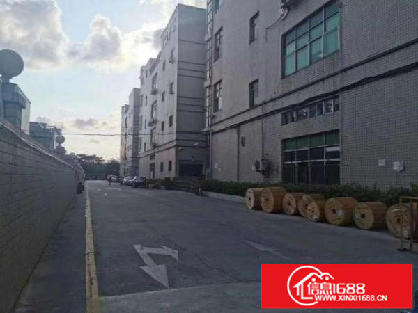 观澜观光路旁原房东，价格实惠