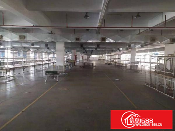 惠州惠城区三栋镇花园式可分租原房东标准厂房