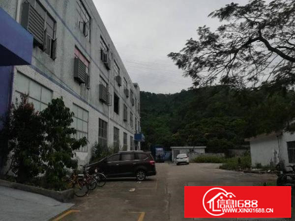 四联路小面积550平米一楼