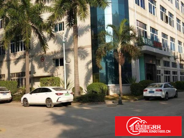 平湖富民工业区3楼全新装修580平米出租