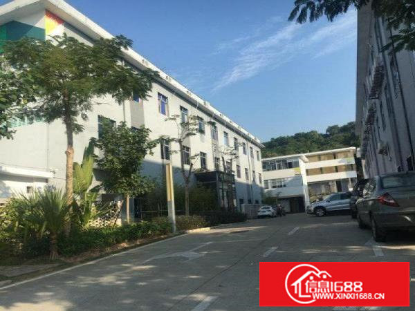 龙西（业主直租）独门独院厂房2400平方大小分租