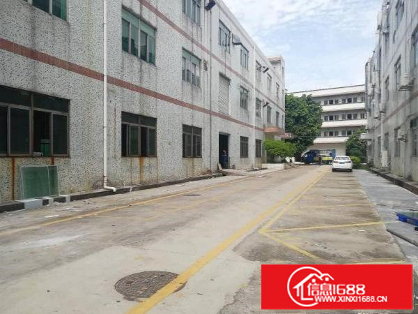 松岗燕川新出独院一到三层5560平方/可分1850