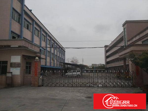 石湾/园洲镇大量标准三层独院厂房出租