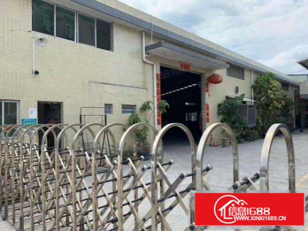 石排镇现空四个原房东独院单一层一超大空地，交通便利