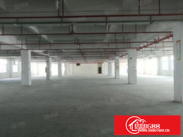 龙澜大道边上原房东一二楼2400一层面积实在一楼带牛角