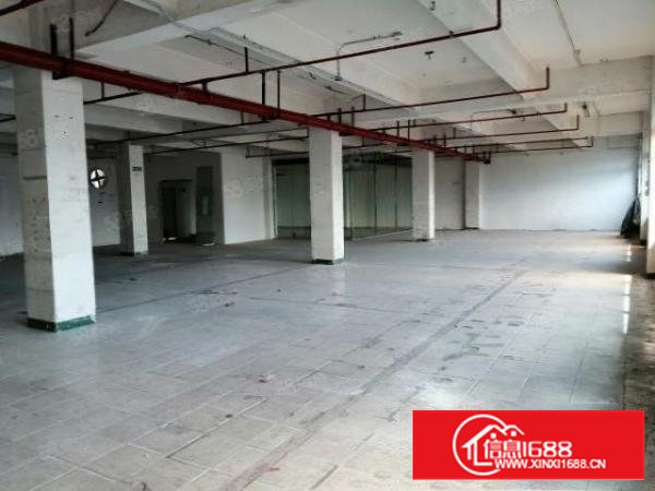 新安街道洪浪北地铁站附近厂房招租