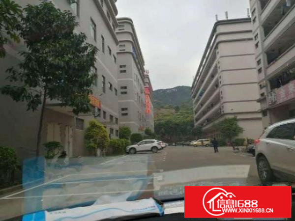 白花洞观光路边新出1-4层整栋8000平带红本