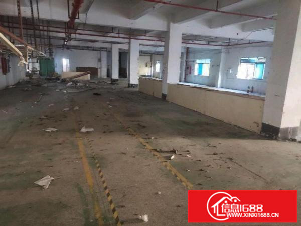 横岗地铁站边上一楼1300平，可分租！