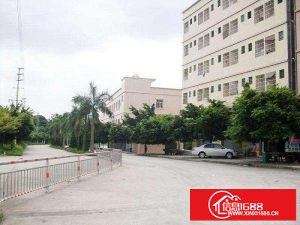 整层半层整栋一拖二商业厂房