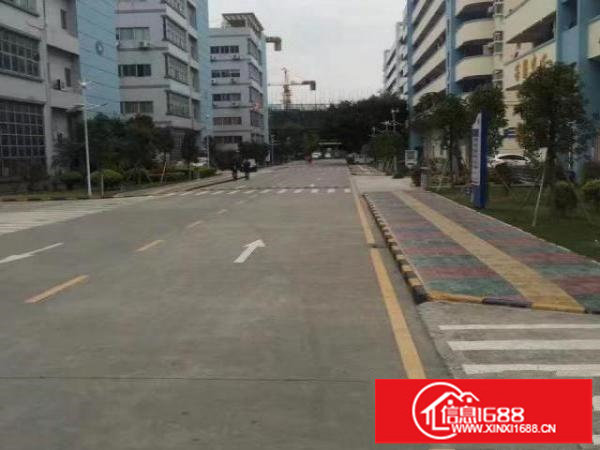 光明、石岩、松岗等多规格700-3000㎡可分租可整租