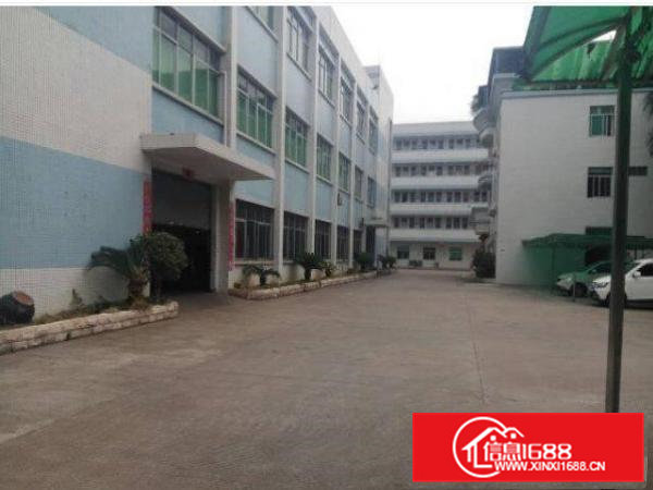 带消防喷淋横沥长巷村一楼1000平标准厂房出租